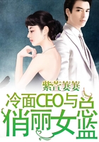 冷面總裁與俏麗女總監在線閱讀
