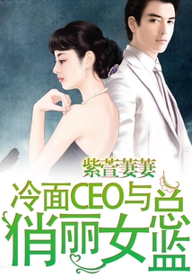 冷面總裁與俏麗女總監