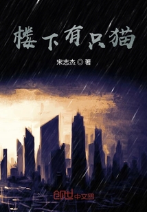 樓下有只貓