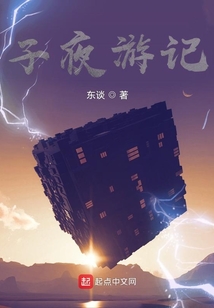 子夜游記