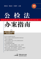 公检法办案指南（2021年第2辑）在线阅读