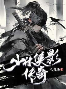 少林侠影传奇 cover