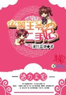錯為王寵：一等王爺二手妃