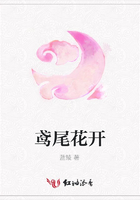 鳶尾花開在線閱讀