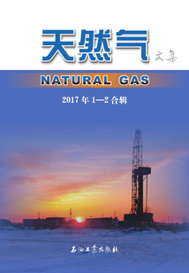 天然氣文集.2017年1—2合輯