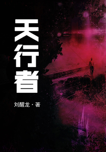 天行者(茅盾文学奖获奖作品)