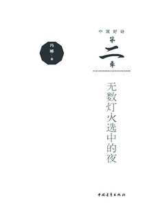 無數燈火選中的夜(中國好詩·第二季)