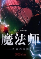 魔法师之异界纵横