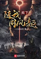 閣下隨我同風起在線閱讀
