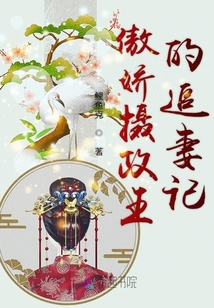 傲嬌攝政王的追妻記