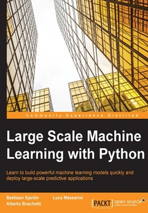 Large Scale Machine Learning with Python