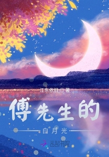 傅先生的白月光