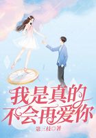 我是真的不會再愛你在線閱讀