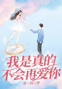 我是真的不會再愛你