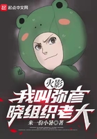 火影:我叫弥彦,晓组织老大在线阅读