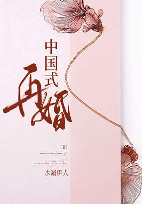 中国式再婚在线阅读