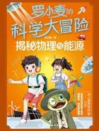 罗小麦的科学大冒险:揭秘物理与能源在线阅读