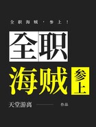 全职海贼,参上!在线阅读