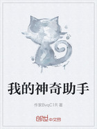 我的神奇助手在线阅读