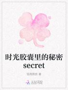 时光胶囊里的秘密secret在线阅读