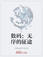 数码：无序的征途在线阅读