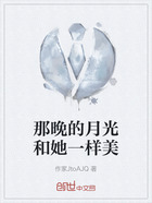 那晚的月光和她一样美在线阅读