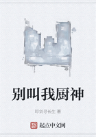 別叫我廚神在線閱讀