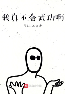 我真不会武功啊