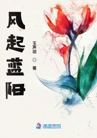 風起藍陽在線閱讀