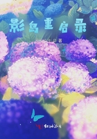 影岛重启录