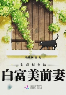 穿成影帝的白富美前妻