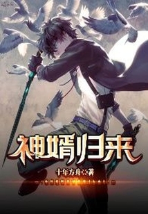 神婿歸來