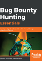 Bug Bounty Hunting Essentials在线阅读