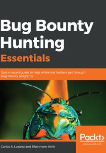 Bug Bounty Hunting Essentials