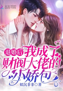 退婚后，我成了財閥大佬的小嬌包