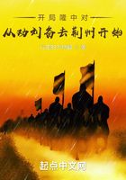 开局隆中对,从劝刘备去荆州开始在线阅读