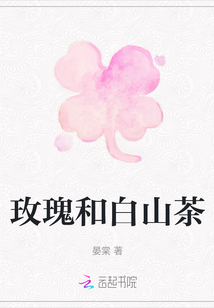 玫瑰和白山茶