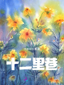 十二里巷