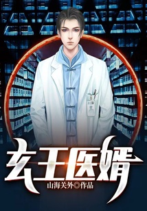 玄王醫婿