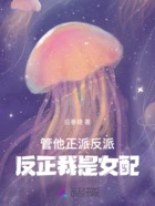 管他正派反派,反正我是女配在线阅读