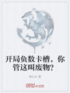 开局负数卡槽,你管这叫废物?在线阅读