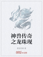 神兽传奇之龙珠现在线阅读