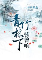 青竹林下弦曾响在线阅读
