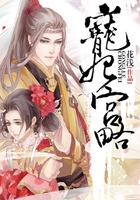 宠妃宫略在线阅读