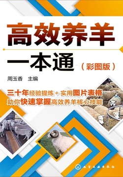 高效养羊一本通（彩图版） 封面