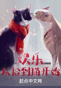 娛樂從撿到貓開始