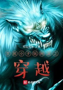 农民小子玩网游之穿越