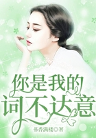 你是我的詞不達意在線閱讀