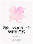 陪你一起在每一个黎明和黄昏在线阅读