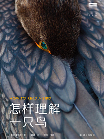 怎樣理解一只鳥（天際線叢書）